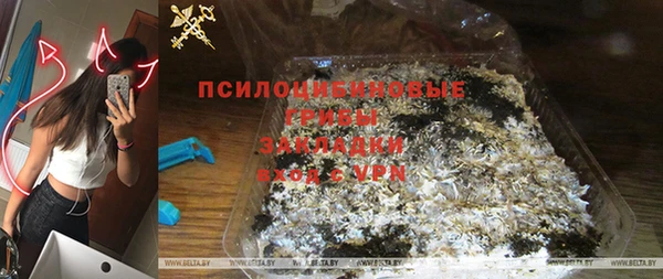 СК Беломорск