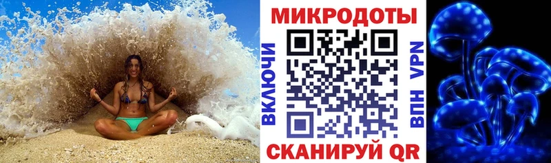 наркошоп  Туран  Галлюциногенные грибы мухоморы 